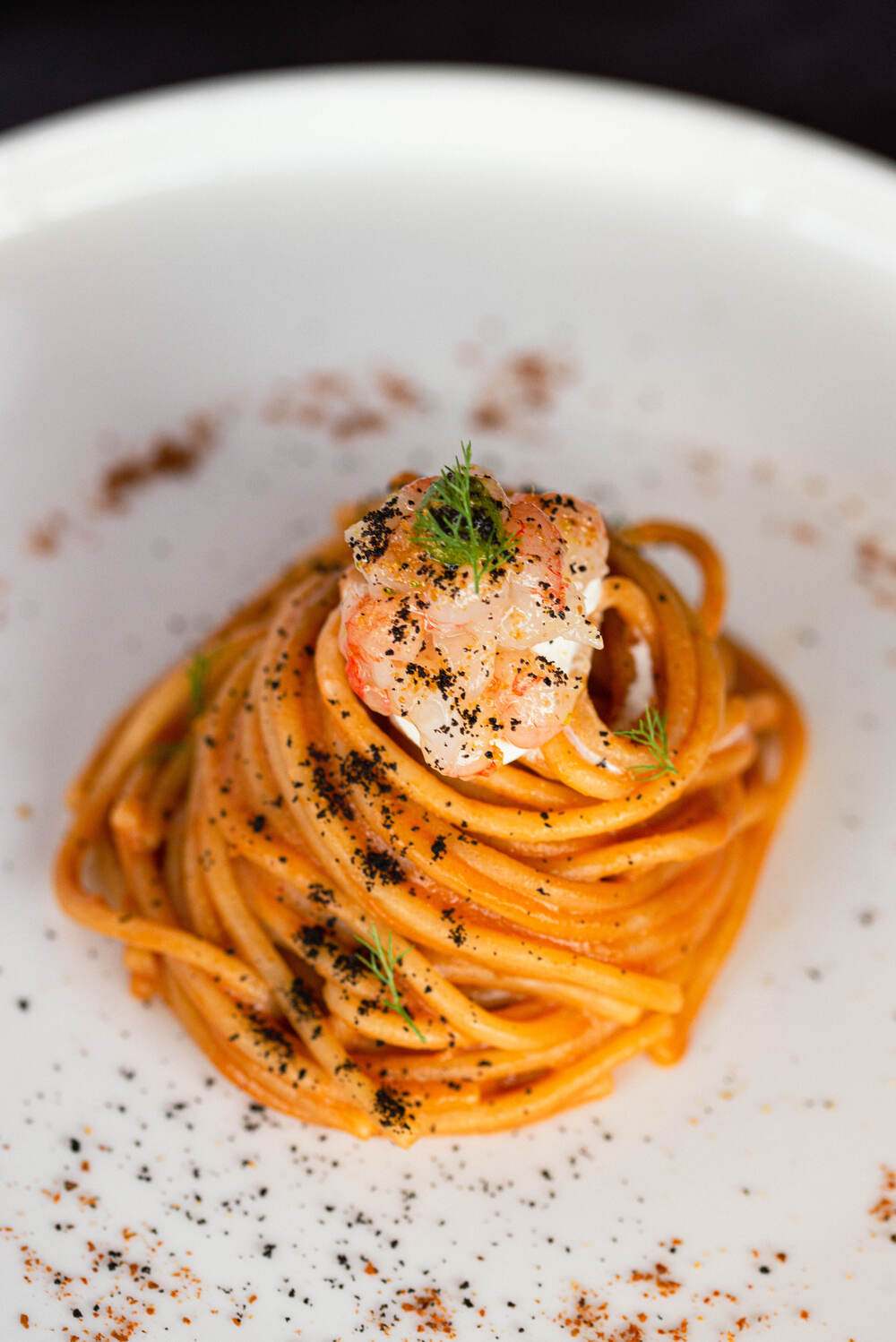 Spaghettone Senatore Cappelli con gambero viola